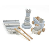 Educational Toy Set